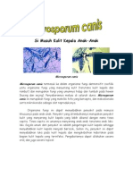 Microsporum Canis - Tinea Capitis PDF