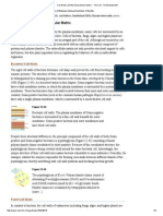 Cell Walls and The Extracellular Matrix - The Cell - Ncbi Bookshelf