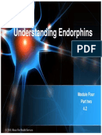 Understanding Endorphin PDF