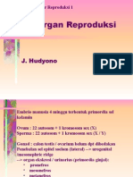 Reproduksi 1 2013