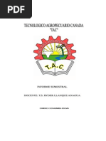 INFORME SEMESTRAL