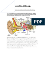 Acoustics Write Up Section 3