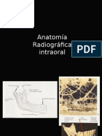 anatomiaradiogrficamaxilarymandbulaussrx-140214172028-phpapp01.ppt