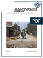 Informe Caminos