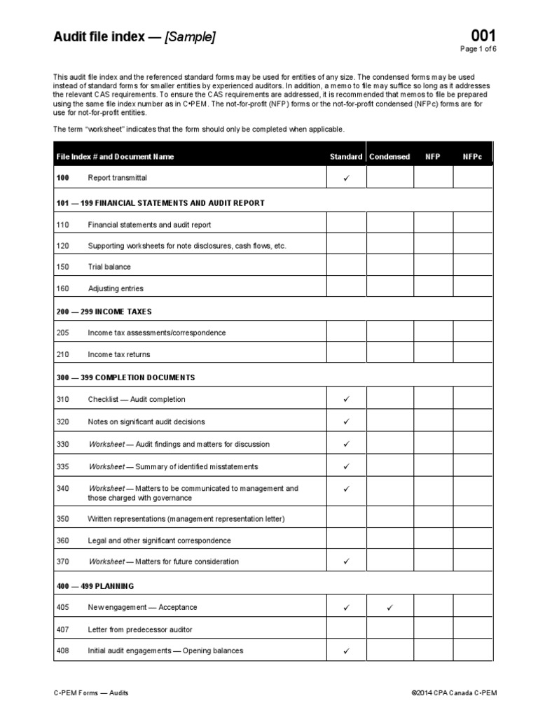 CPEM 2014 - TOC - PracticeAids Audit File Documentation | PDF | Auditor ...