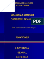 Cirugia - Clase 01 - Patología de Glandula Mamaria - 23abr15