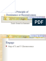 Recessive and dominant alleles