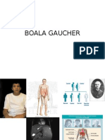 179338480 Boala Gaucher