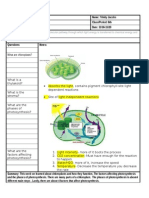 Investigate The Molecular Pathway Through Which Light Energy Is Transferred To Chemical Energy and Dispersed Throughout An Ecosystem