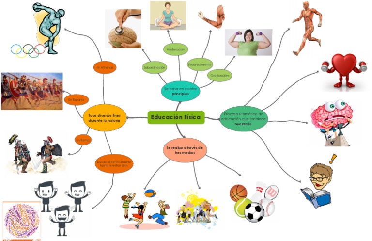 Mapa Mental Educacion Fisica Arbol