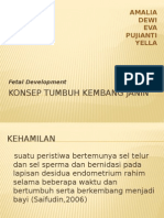 Konsep Tumbuh Kembang Janin