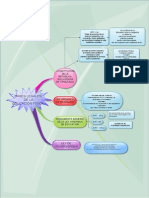 Bases legales de la Educacion Fisica