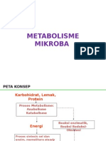 METABOLISME_MIKROBA