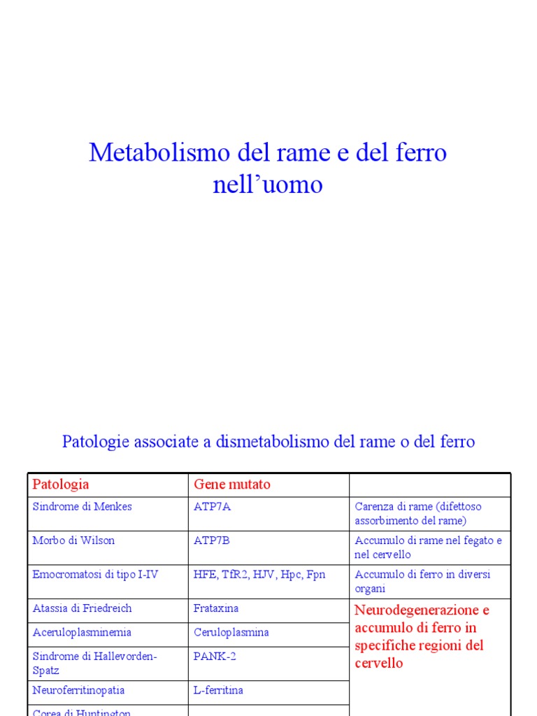 Metabolismo Del Rame e Del Ferro | PDF
