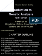 Introduction To Genetic Analysis: Regulation of Gene Expression in Bacteria and Their Viruses