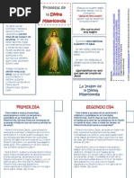 Lapbook de La Divina Misericordia