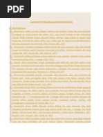 Download LAPORAN PENDAHULUAN RINOSINUSITIS by Anonymous 4W6T2Kj SN293094031 doc pdf
