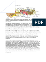 The Mechanisms of Human Hearing