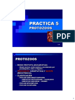 protozoariosssssss clasificacion