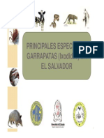 Catalogo de Garrapatas
