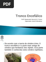 05_tronco_encefalico