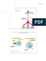 223.20 Principles of Cell Signaling2015