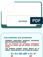 Enzimas