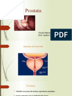 Presentation Prostata Sono 240