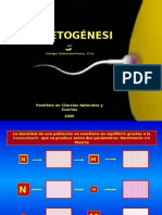 Clase Gametogénesis I