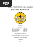 Download Reproduksi Ikan Belanak by Mifta Arfadina SN293142721 doc pdf
