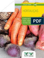 Cultivo de Hortaliças Raízes