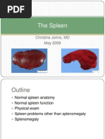 Download The Spleen by isisjea SN29315316 doc pdf