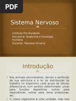 Sistema Nervoso