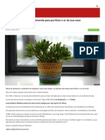 Bbc_com Plantas Que Purificam o Ar