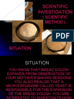 Bread Experiment Bio F4