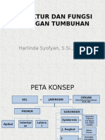 3.-Pertemuan-3-Struktur-dan-Fungsi-Jaringan-Tumbuhan