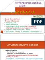 Corynbacterium 2-12-2015.pptx