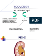 Syndrome Nephrotique