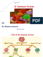3rd Immune Cells (1)