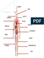 Estres en El Cuerpo