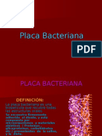 Placa Bacteriana