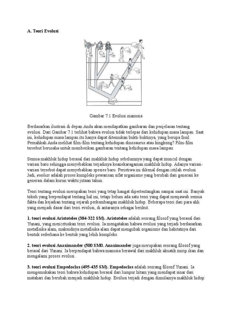 Materi Evolusi Dan Latihan Soal Tea Pdf
