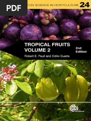 Tropical Fruit  PDF  Pruning  Grafting