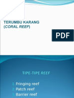 Types of Coral Reefs and Their Environmental Needs