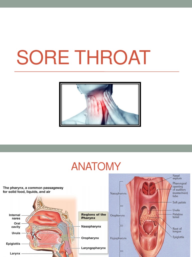 Sore Throat Gastroesophageal Reflux Disease Esophagus