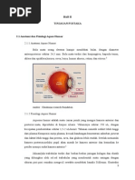 Download Glaukoma sudut terbuka dan tertutup by santyoona SN293236063 doc pdf