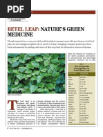 Betel Leaf Sep-12