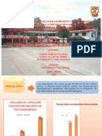 DIAPOSITIVAS DE SUSTENTACION.pptx