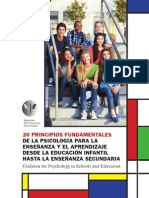 20 Principios Fundamentales PDF