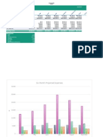 Froyotogo Financial Projection-1